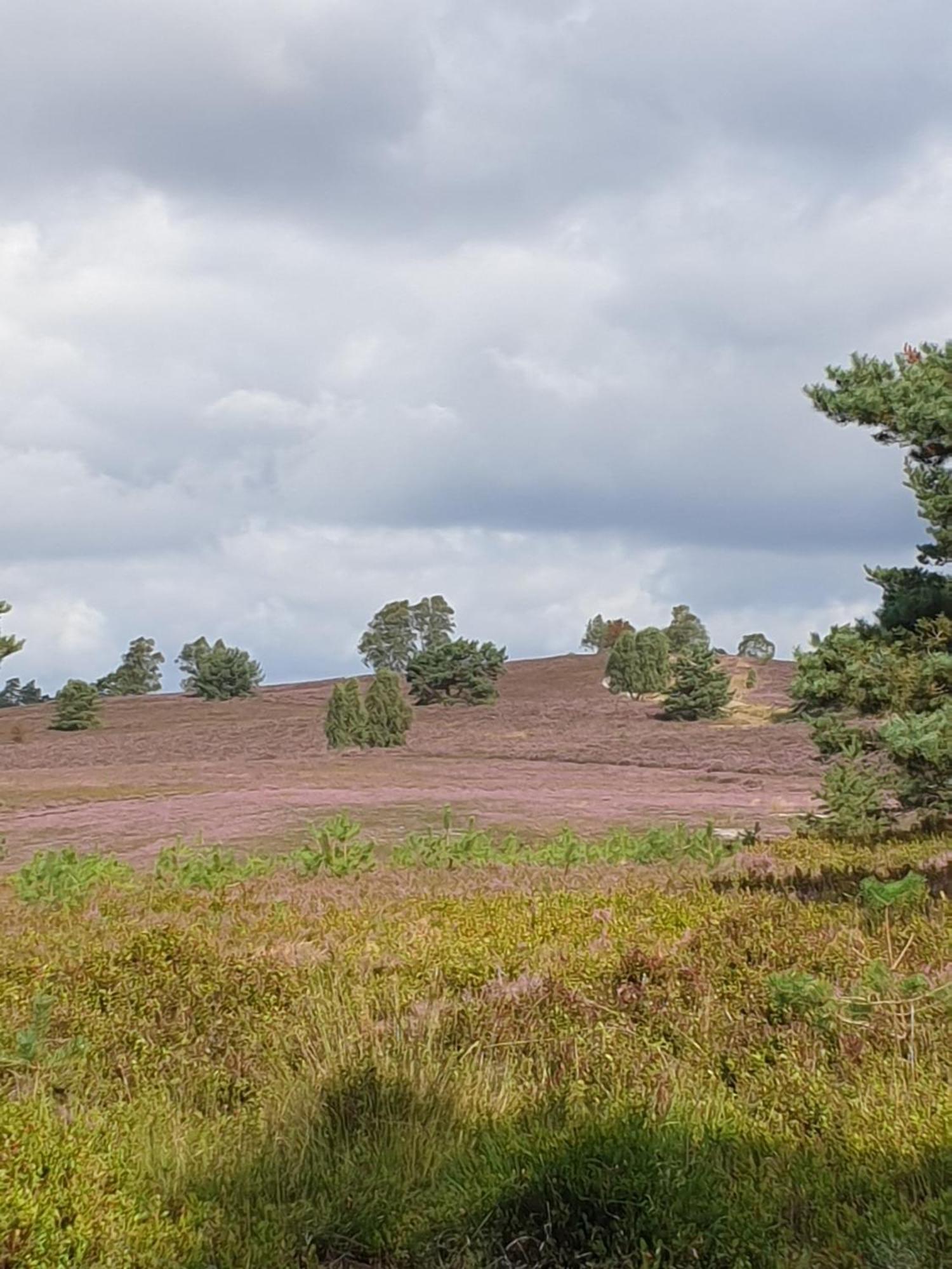 Likehome Suite Buchholz in der Nordheide Dış mekan fotoğraf
