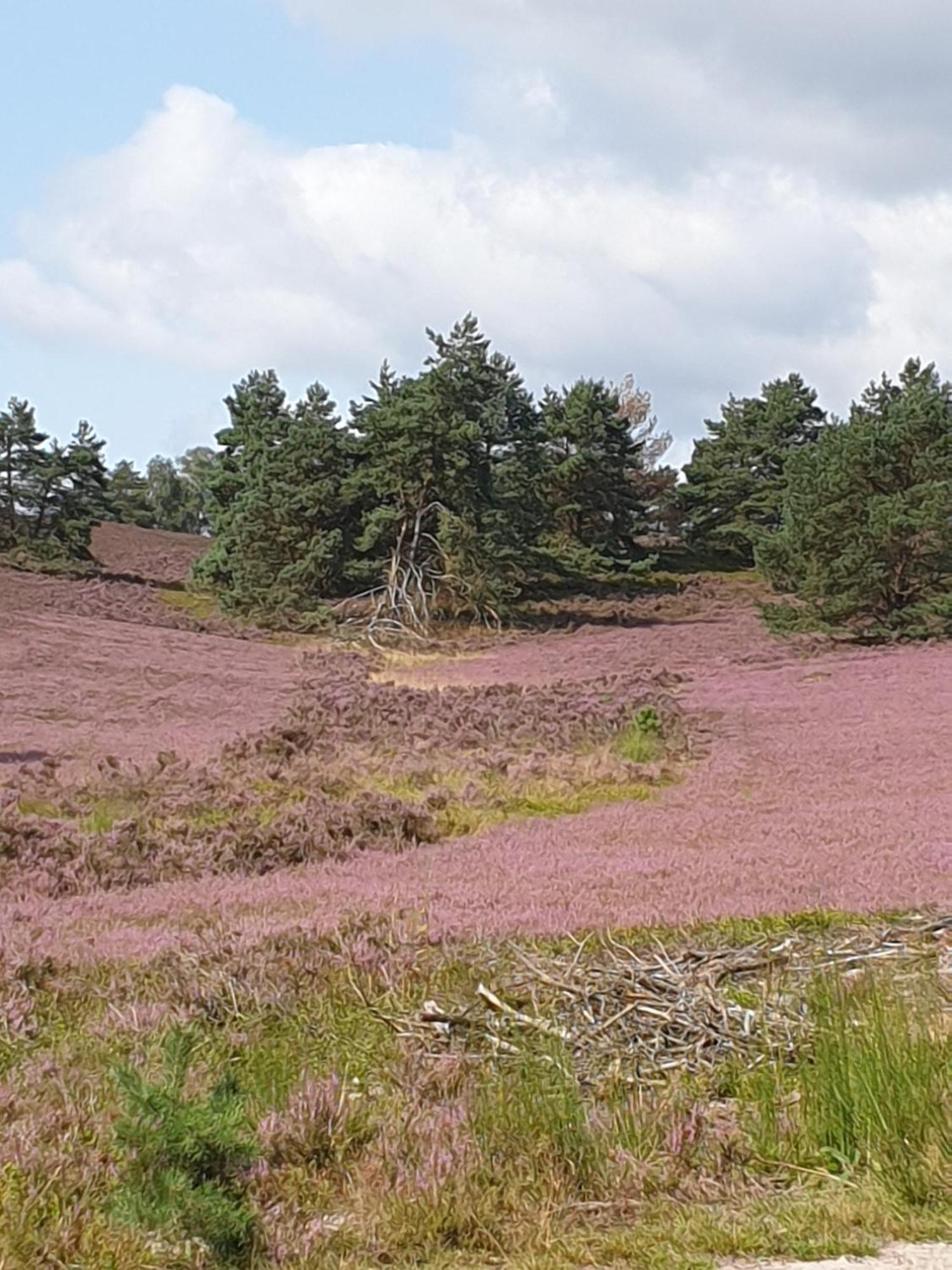 Likehome Suite Buchholz in der Nordheide Dış mekan fotoğraf
